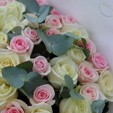 Букеты из роз: Букет из 51 нежной розы микс 60 см