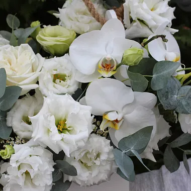 Композиции с цветами в деревянных ящиках: Декоративный ящик с цветами