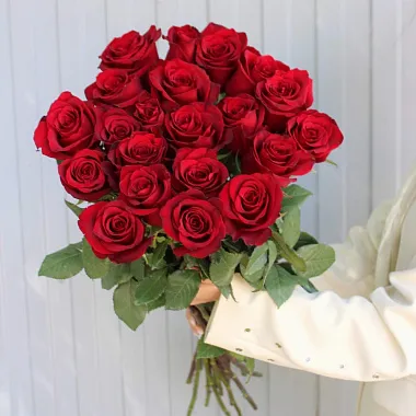 Эквадорские розы - На фото Букет из 21 розы Explorer 90 см - изображение 2 Букет из 21 розы Explorer 90 см - изображение 2