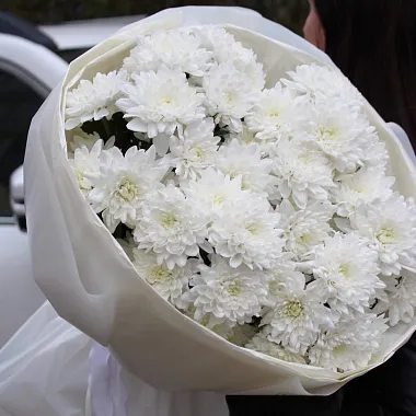 Цветы на праздник: Букет из 7 веток хризантемы Балтика