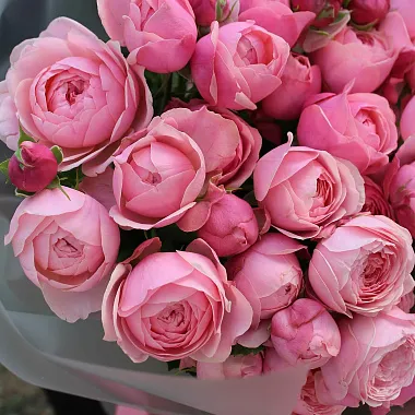 кустовые розы: Букет из 9 веток пионовидной розы