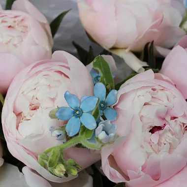 Букеты пионов: Букет с пионами "Зефир"