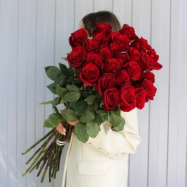 Эквадорские розы - На фото Букет из 25 роз Explorer 90 см - изображение 2 Букет из 25 роз Explorer 90 см - изображение 2