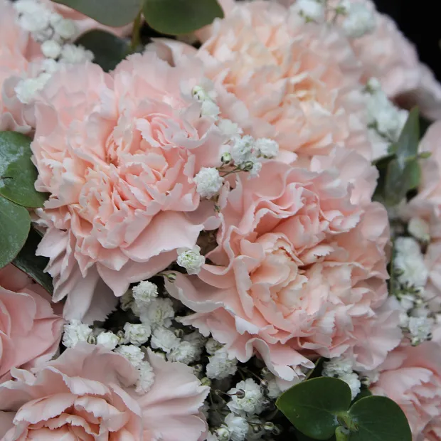 Букет невесты "Диантус"