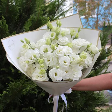 Монобукеты  цветов с доставкой - Букет из белой кружевной эустомы - изображение 2 Букет из белой кружевной эустомы - изображение 2