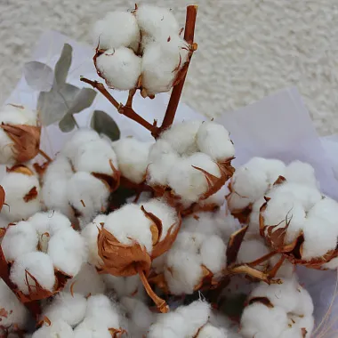 Букеты  цветов с доставкой: Букет из сухоцветов с хлопком Букеты  цветов с доставкой: Букет из сухоцветов с хлопком