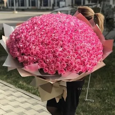Букеты  цветов с доставкой - На фото 501 розовая роза - изображение 2 501 розовая роза - изображение 2
