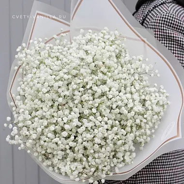 Букеты  цветов с доставкой: Букет из 9 веток гипсофилы Букеты  цветов с доставкой: Букет из 9 веток гипсофилы