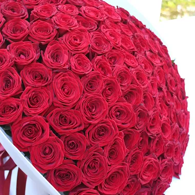 Букет красных роз: Букет из 111 роз Ред Наоми 60 см