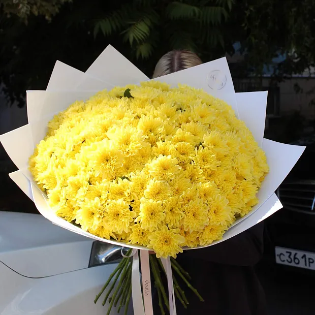 Букет из желтой хризантемы Балтика 25 шт.