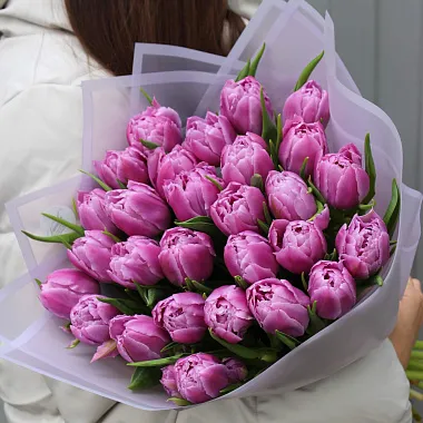 Цветы: Тюльпан пионовидный 29 шт в нежном оформлении