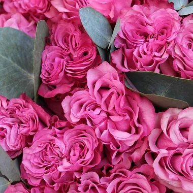 Букеты  цветов с доставкой: Букет из 55 роз Кантри Блюз