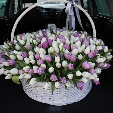 Тюльпаны в корзине: 351 тюльпан в корзине VIP