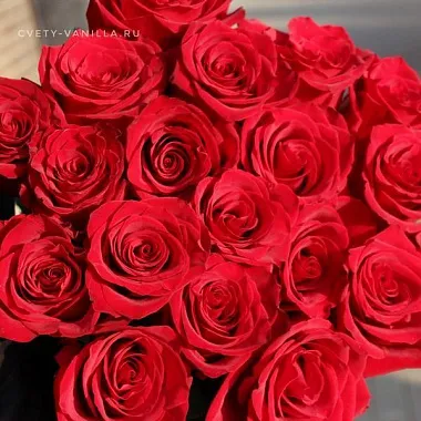 Цветы на 14 февраля: На фото 19 красных голландских роз 80 см Цветы на 14 февраля: 19 красных голландских роз 80 см
