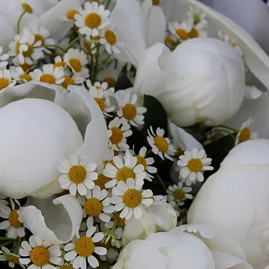 Букеты  цветов с доставкой: Сборный букет "Пломбир" Букеты  цветов с доставкой: Сборный букет "Пломбир"