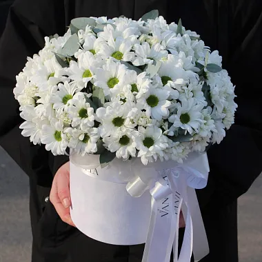 Цветы на 14 февраля - Белые хризантемы в цилиндре - изображение 2 Белые хризантемы в цилиндре - изображение 2