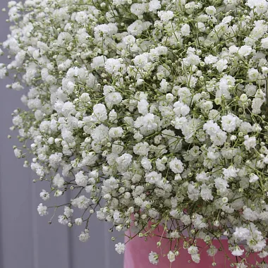 Букеты  цветов с доставкой: Белая гипсофила в цилиндре Букеты  цветов с доставкой: Белая гипсофила в цилиндре