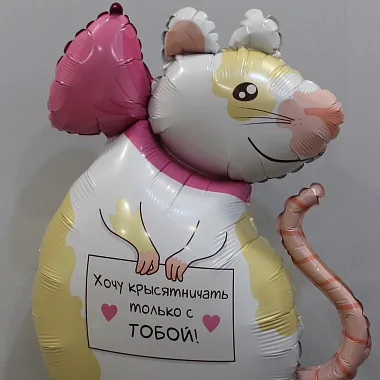 Фольгированные шары : Шар с приколом