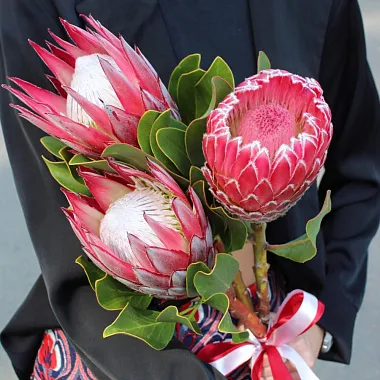 Букет из протеи - изображение 2