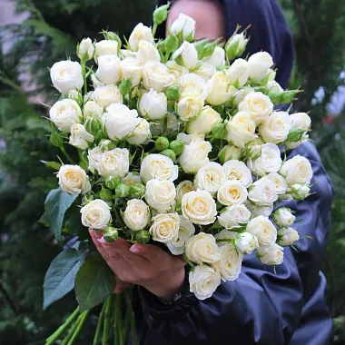 Букеты  цветов с доставкой - На фото 15 кустовых роз Беларусь под ленту - изображение 2 15 кустовых роз Беларусь под ленту - изображение 2