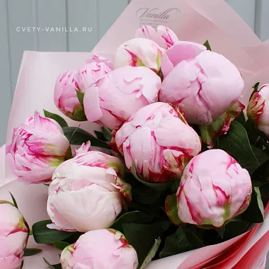 Букеты  цветов с доставкой: Букет 11 розовых пионов Букеты  цветов с доставкой: Букет 11 розовых пионов