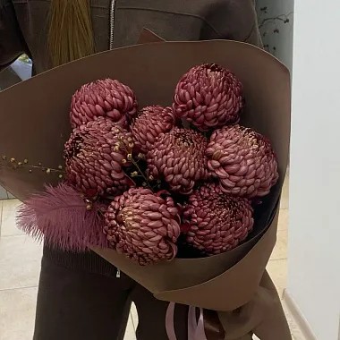 Букет хризантем "Шоколад" - изображение 2