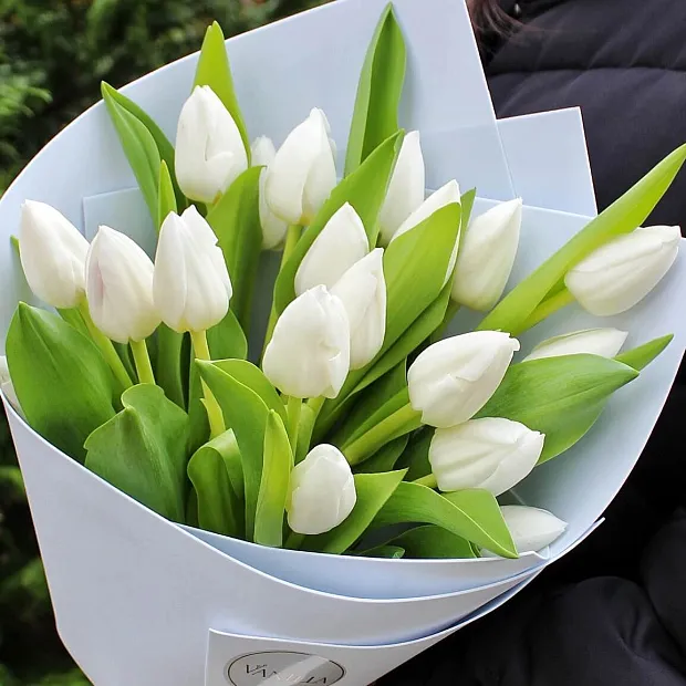 Букет из 19 белых тюльпанов в нежном оформлении
