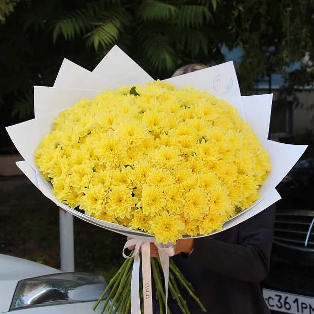 Букет из желтой хризантемы Балтика 25 шт.