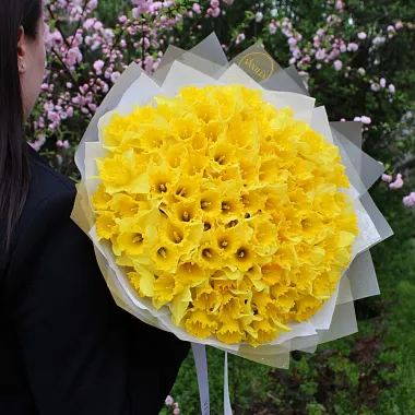 Букет из нарциссов в нежном оформлении - изображение 2