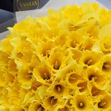 Букеты из различных цветов: Букет из нарциссов в нежном оформлении