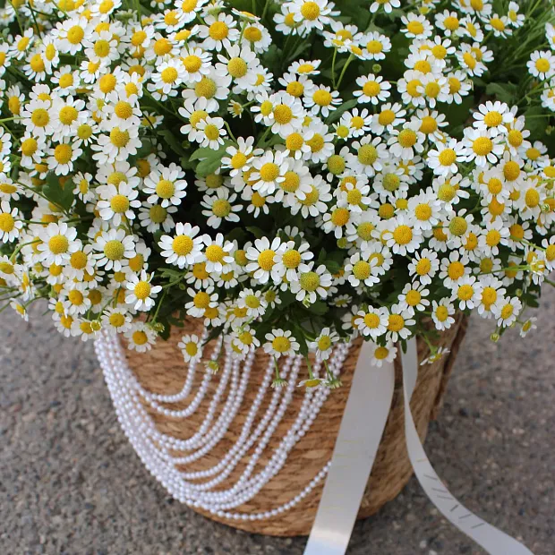 Ромашки микс в корзине