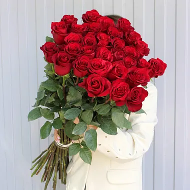 Эквадорские розы: На фото Букет из 31 розы Explorer 90 см Эквадорские розы: Букет из 31 розы Explorer 90 см