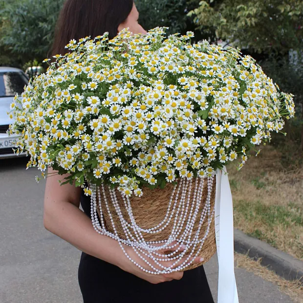 Ромашки микс в корзине