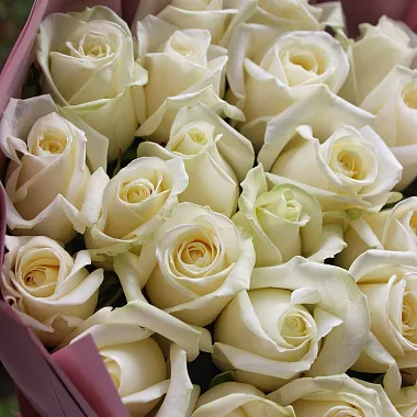 Цветы на 14 февраля: Букет из 25 роз Avalanche