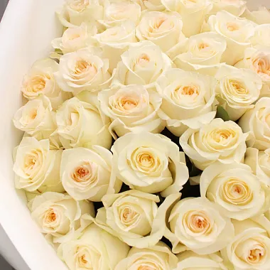 Эквадорские розы: На фото Букет из 51 розы Канделайт Эквадорские розы: Букет из 51 розы Канделайт