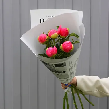 Букеты  цветов с доставкой - Букет из 5 пионов Coral Charm - изображение 2 Букет из 5 пионов Coral Charm - изображение 2