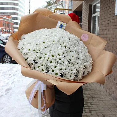 Букет из 51 ветки ромашковой хризантемы - изображение 2