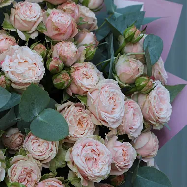 Букет из 15 роз: На фото Букет из 15 веток розы Бомбастик Букет из 15 роз: Букет из 15 веток розы Бомбастик