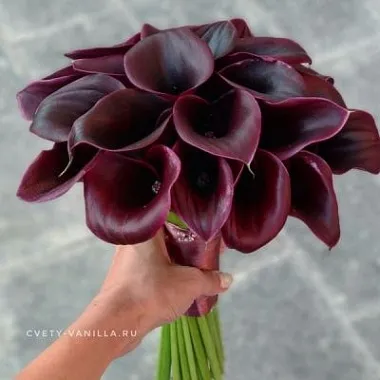 Букет из темных калл - изображение 2