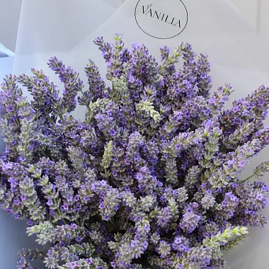 Букеты из различных цветов: Букет из лаванды "Aroma"