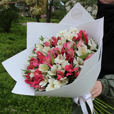 Букеты  цветов с доставкой - Букет из альстромерии микс - изображение 2 Букет из альстромерии микс - изображение 2