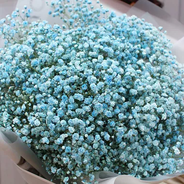 Необычные букеты: Голубая гипсофила в букете