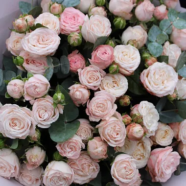 Кремовые розы: Букет из розы Бомбастик "Нежный оттенок"