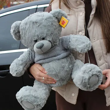 Мишка серый