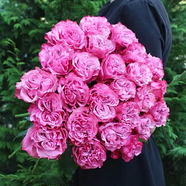 Эквадорские розы - На фото Букет из 25 роз Кантри Блюз - изображение 2 Букет из 25 роз Кантри Блюз - изображение 2