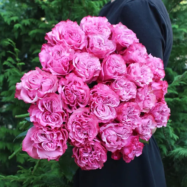 Букет из 25 роз Кантри Блюз