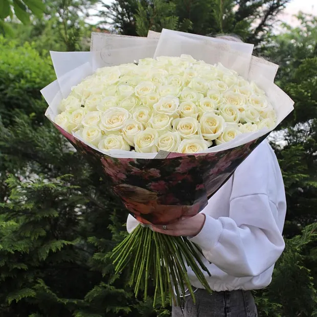 77 белых роз Аваланж 60 см