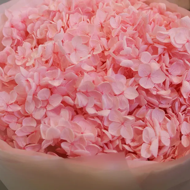 Букет из гортензии Peach