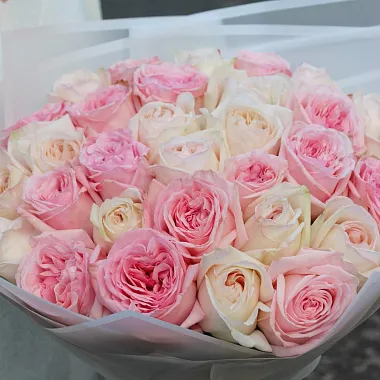 Эквадорские розы: На фото Букет микс из 31 нежной розы O'hara Эквадорские розы: Букет микс из 31 нежной розы O'hara