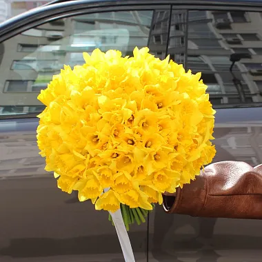 Букеты из различных цветов: Букет из 101 нарцисса под ленту